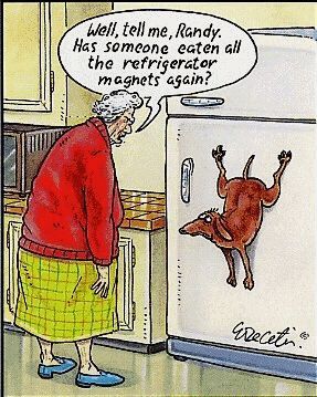 Fridge Magnets