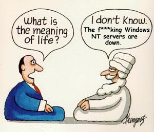 Meaningoflife