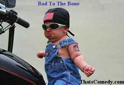 Bad to the Bone