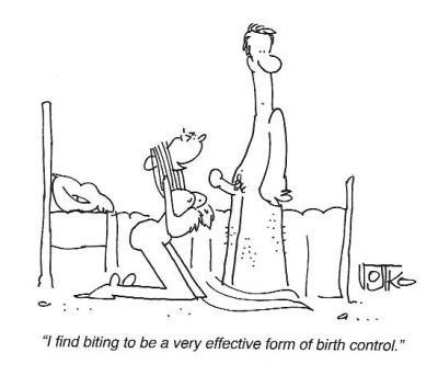 BIrth Control
