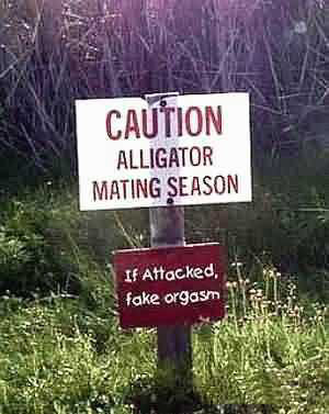 Fake An Orgasm