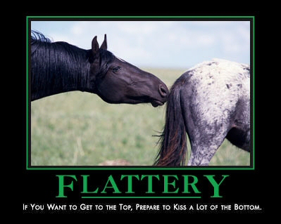 flattery