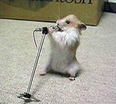 Singing Gerbil