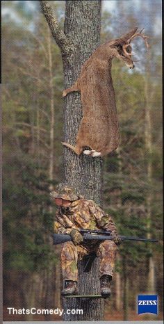 The Hunt