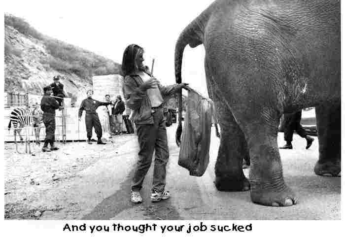 Worst Job!