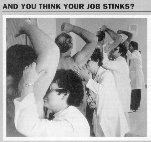 So Your Job Stinks?