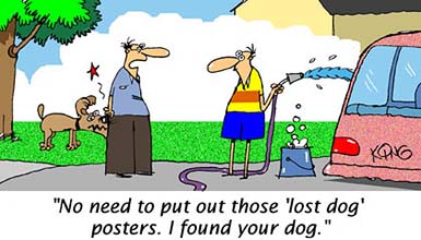 lostdog