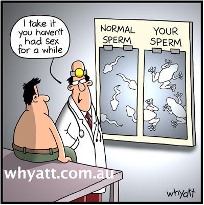 nosex