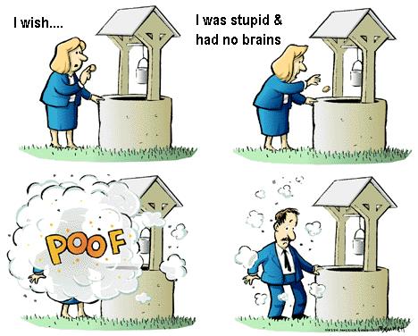 stupid