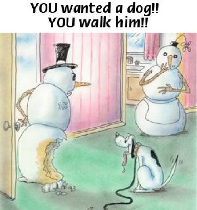 walkdog
